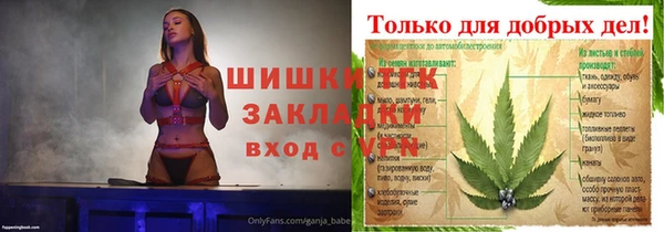 МДПВ Михайлов