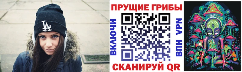 наркошоп  Цивильск  Псилоцибиновые грибы Magic Shrooms 